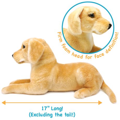 Golden labrador outlet teddy