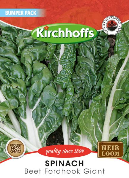 Kirchhoffs Spinach Beet Fordhook Giant Large Bumper Pack