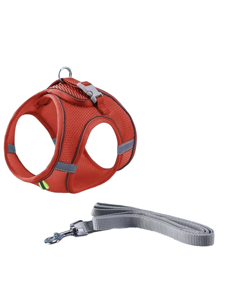 Pet Harness, Reflective Vest with Leash - Small Breed