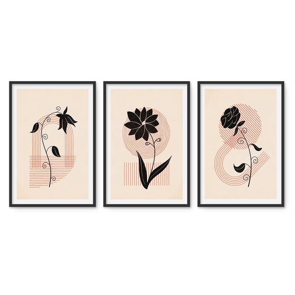 Cape Art Framed Canvas 3 Piece 35x50cm Geometric Floral Art