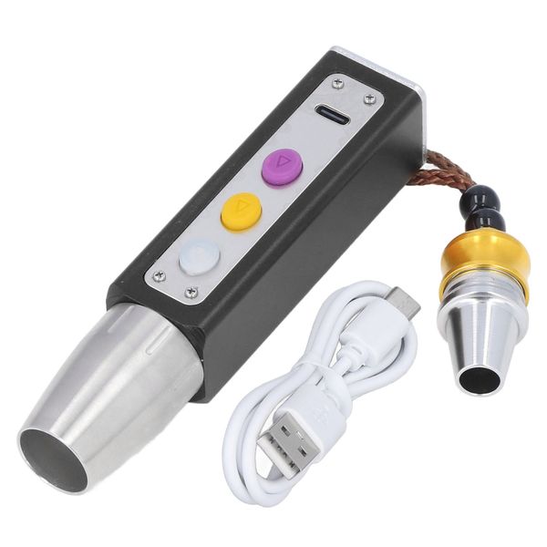 3LED 3 - Mode USB - Charging Jade Jewelry Flashlight (Black)