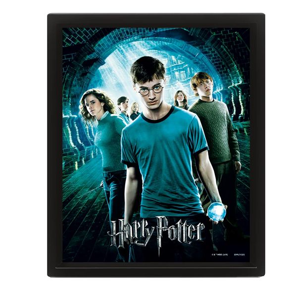 Harry Potter - Order of the Phoenix Framed 3D Lenticular Poster 25cm x 20cm