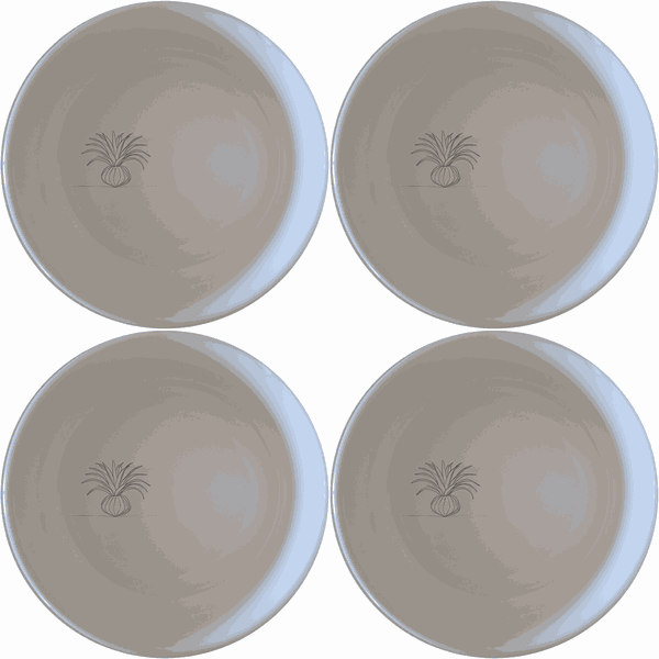 Tillandsia Air Plants Bowl Set of 4 - Range 1