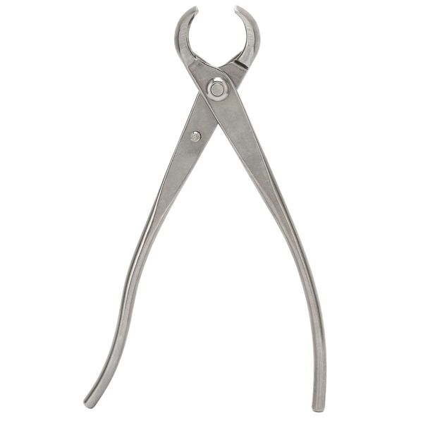 Stainless Branch Cutter - Ergonomic Gardening Tool 8.3