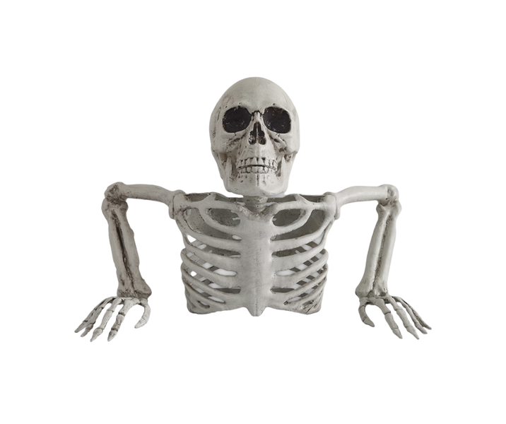 Skeleton Torso Ground Breaker 27cm