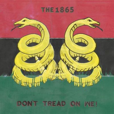 Strictly 4 My N.I.G.G.A.Z. (Vinyl / 12" Album)