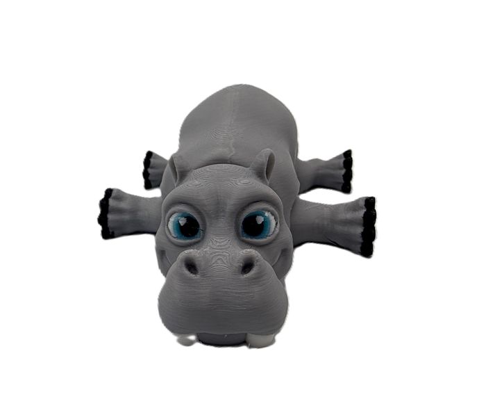 Hippo Toy