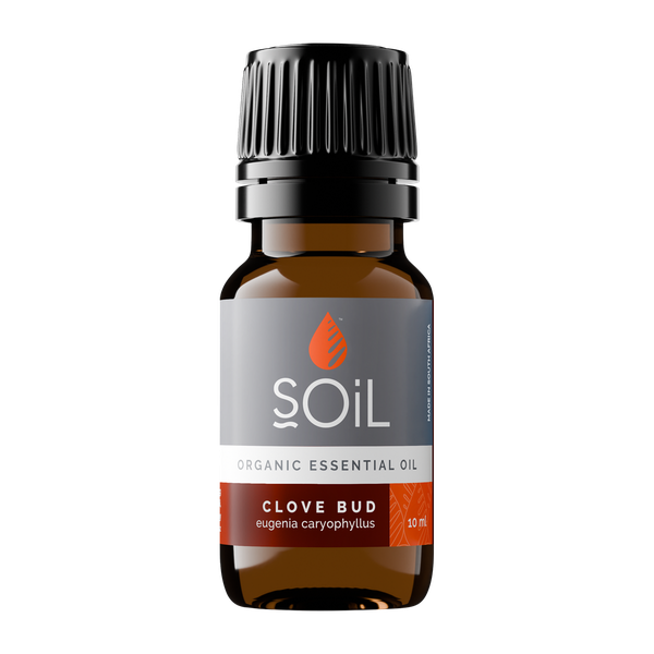 SOiL Organic Clove 10ml (Eugenia Caryophillus)