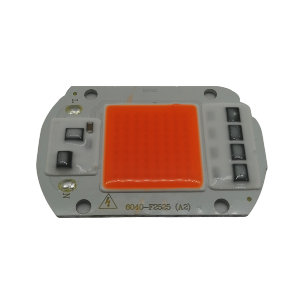 50W COB LED - Red/Blue