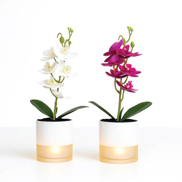 Elegant Artificial Orchid Décor with Aroma Spray (White &amp; Red)