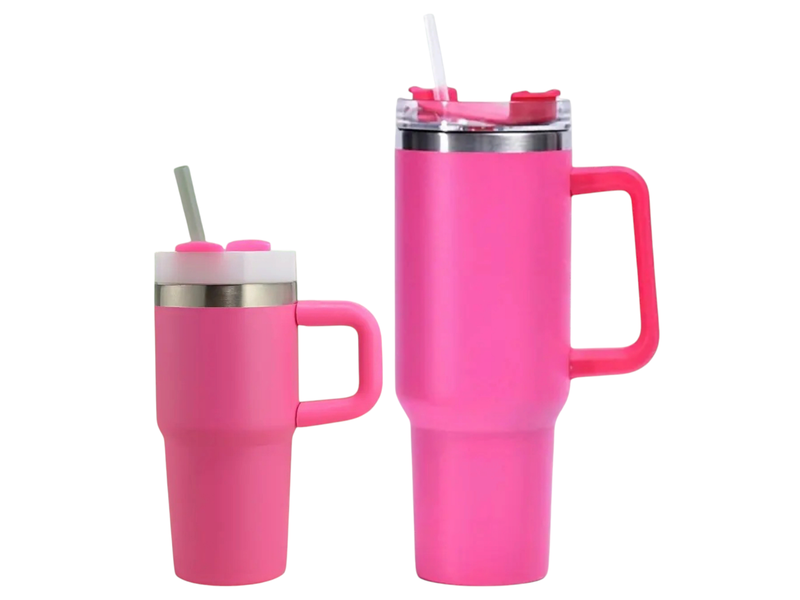 Kid's and Adult's Insulated Water Bottle with Handle and Straw