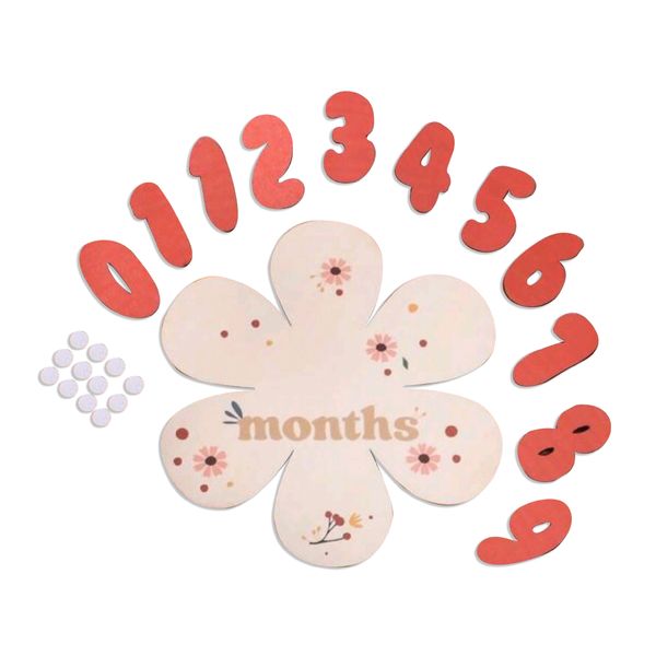 Flower Shaped Baby Monthly Milestone Disc