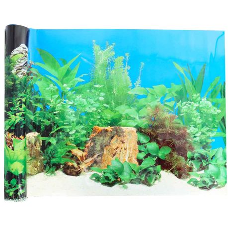Fish Tank Background Poster - 50Cm x  - Poster A | Buy Online in South  Africa 
