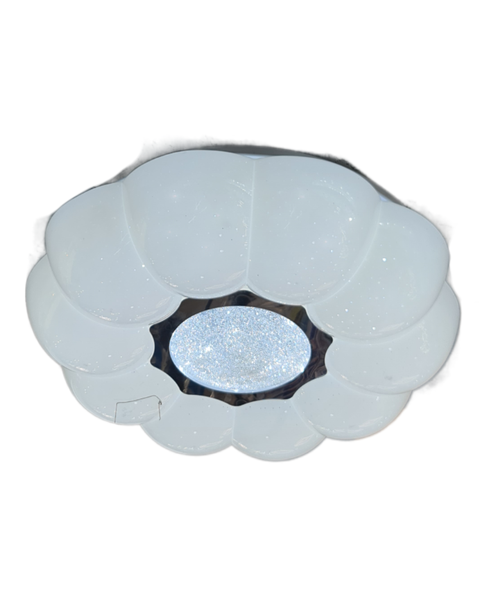 LED Ceiling Light 24W