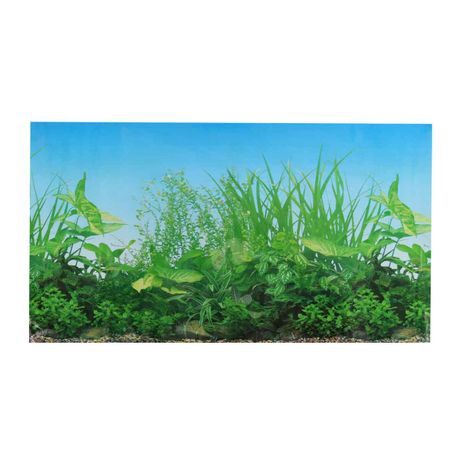 Fish Tank Background Poster - 50cm x 29cm - Poster B | Buy Online in South  Africa 