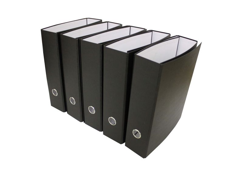 Files 10 pack A4 PVC Lever arch Special Red