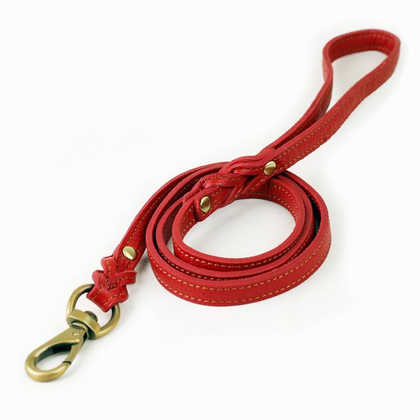 1.1m Premium Leather Leash with Brass Buckle for Small Pets - Black