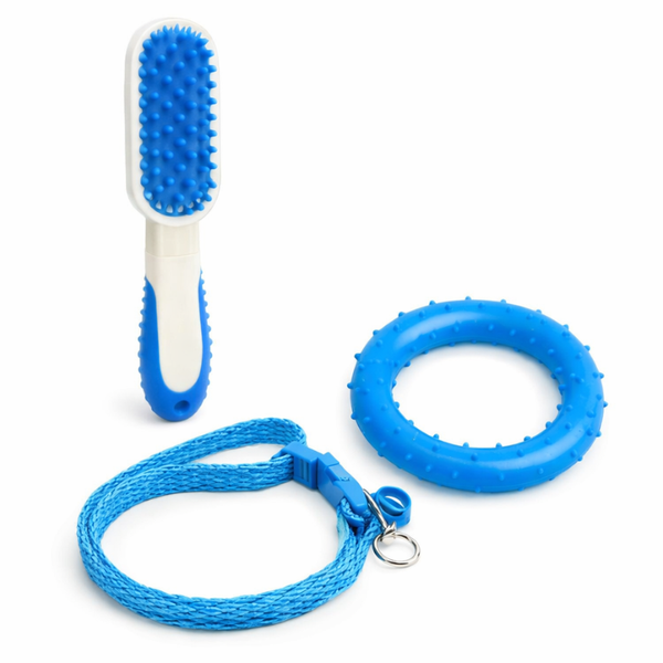 Ultimate New Pet Combo- Blue