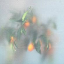 Secret Garden (CD / Album)
