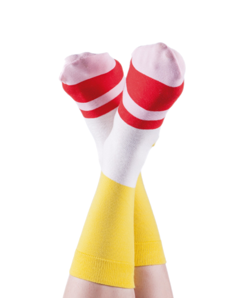 Omelette Maki Socks