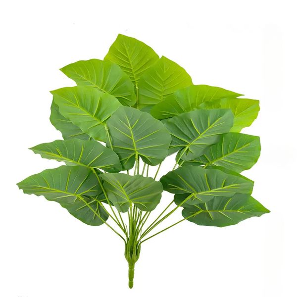 Foliage Plant