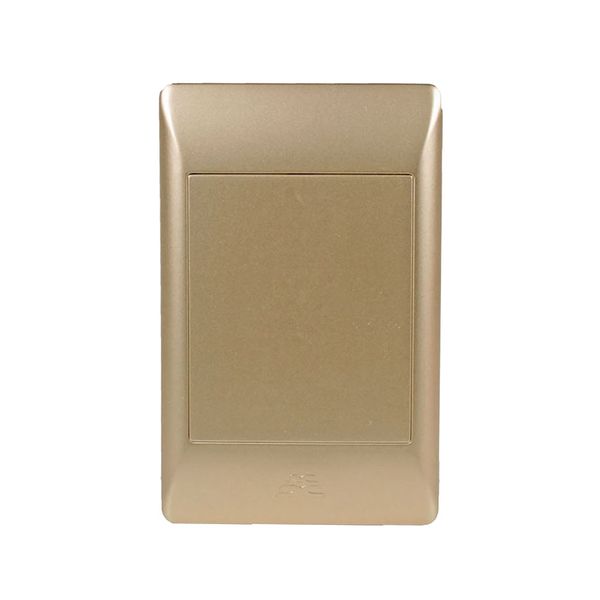 ACDC - 4x2 Blank Cover Plate