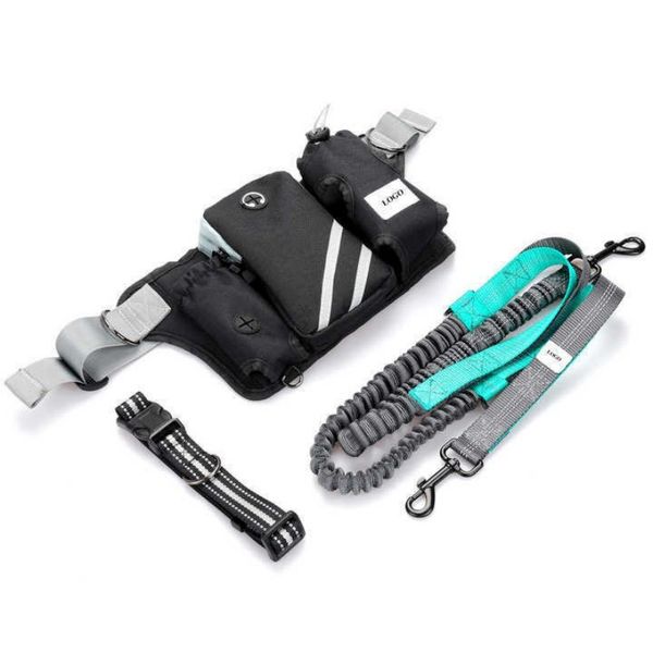 Night Safe Reflective Dog Walking Waist Pack