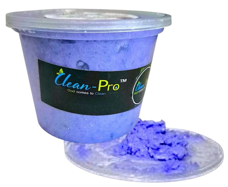 CleanPro logo