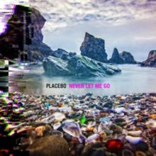 Never Let Me Go (Vinyl / 12" Album)