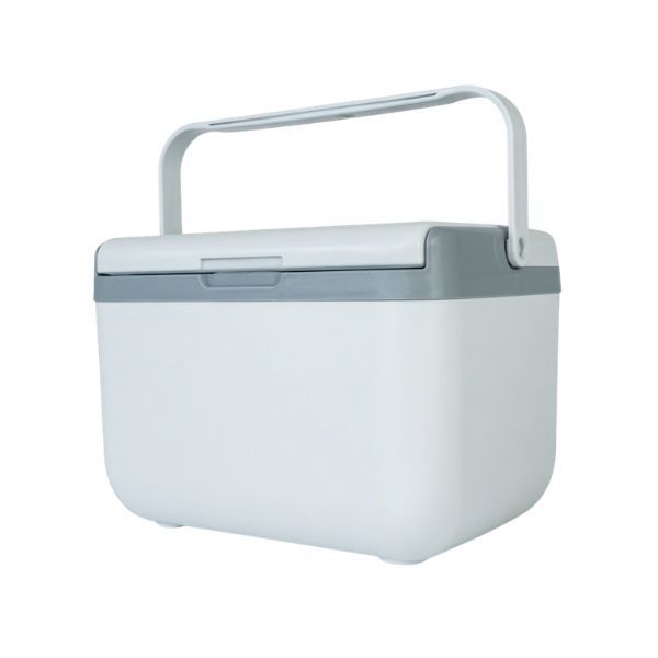 6L Portable Cooler Box with Handle - Insulated Ice Box for Drinks &amp; Food