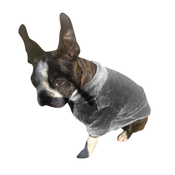 Dog Jersey - 2 Pack - Mongolian Fleece - Grey