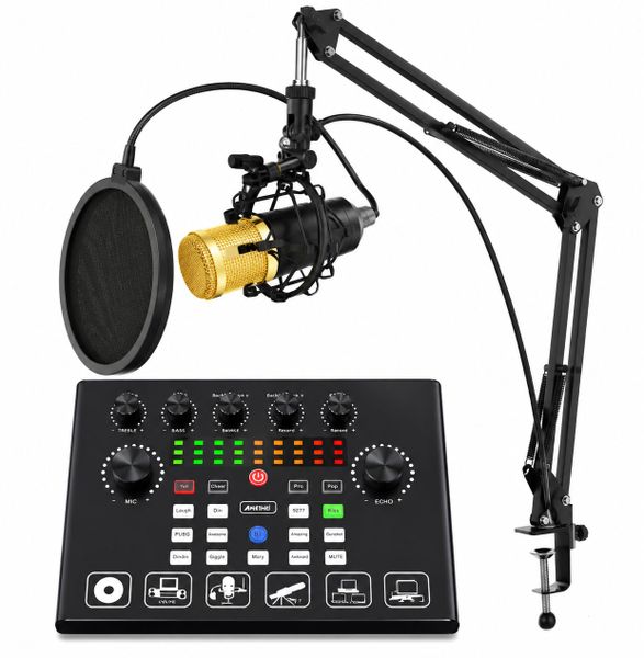 Podcast Studio Condenser Mic Set with Audio Sound Card &amp; Boom Arm