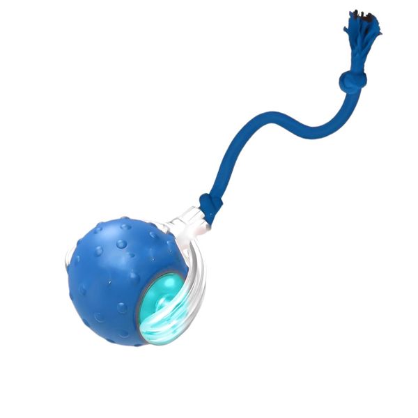 Interactive Cat Toys Ball Pet Dog Rolling Ball with Bird Sound &amp; LED Light