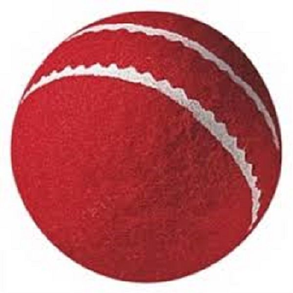 Cricket Training Tennis Ball - Red
