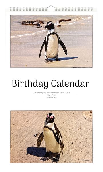 Boulders Beach Penguins Birthday / Special Dates Calendar