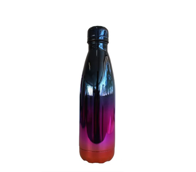 Stainless Steel Reusable Water Bottle - Magenta