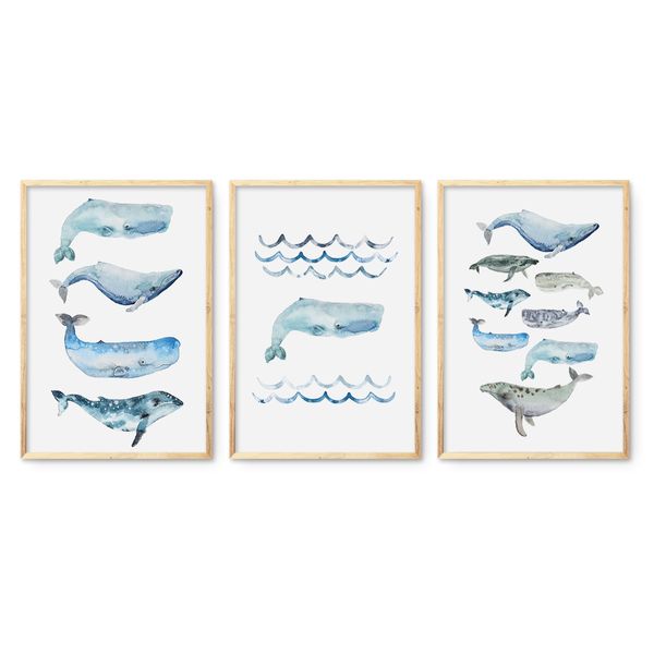 Cape Art Framed Canvas 3 Piece 45x65cm Watercolor Whales
