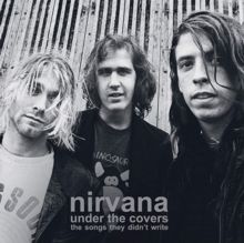 Under the Covers (Vinyl / 12" Album)