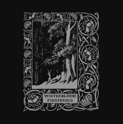 Finsternis (Vinyl / 12" Album)