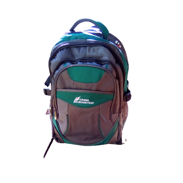 Camel mountain school bag- Grey &amp; light green