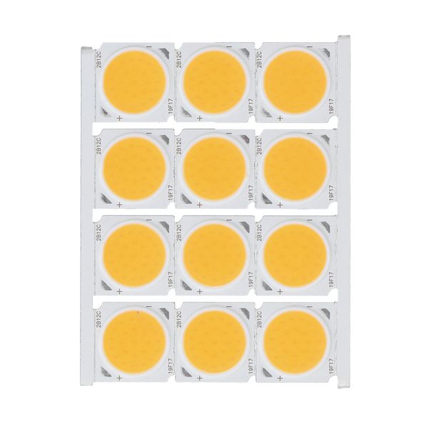 12Pieces 12W COB LED Chip Warm