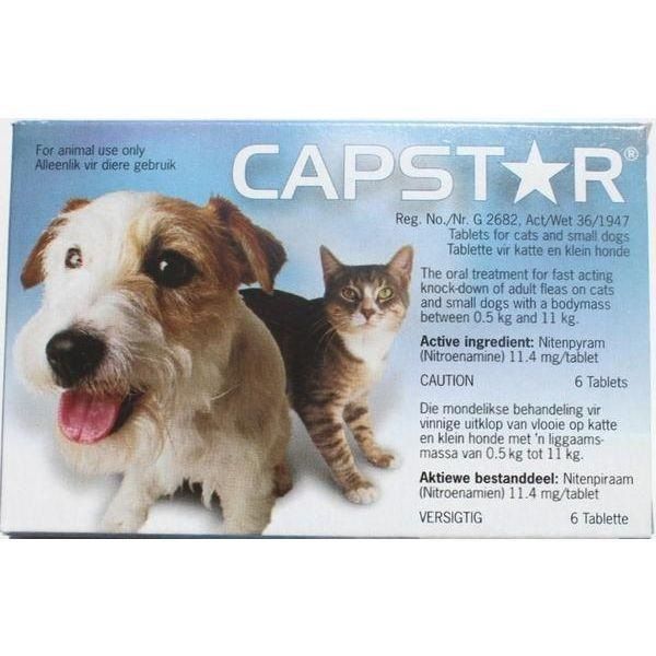 Capstar blue hot sale for cats