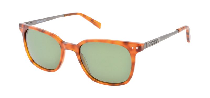 Barbour Tort Clubmaster Sunglasses