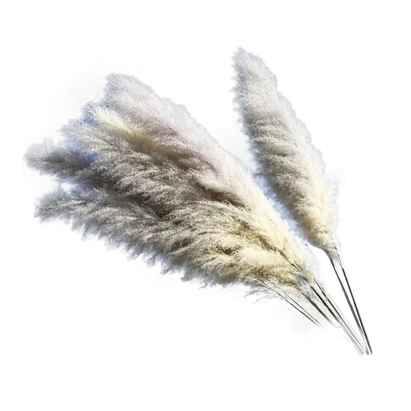 Home Decor Dried Pampas Grass Set of 4 (1.5 m)