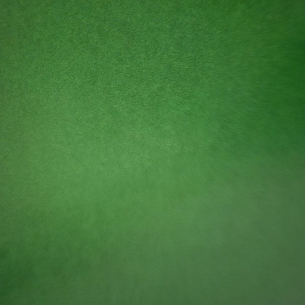Hunters Green Wrapping Paper - 10m roll