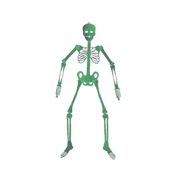 Hanging Skeleton - 1.4 m ( Glow in the dark)