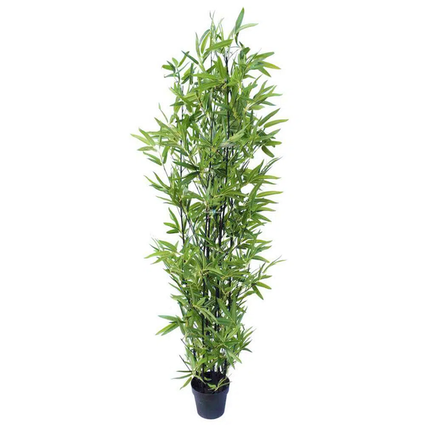 1.8M Bamboo Tree Potted Plant for Indoor Outdoor Modern Decor