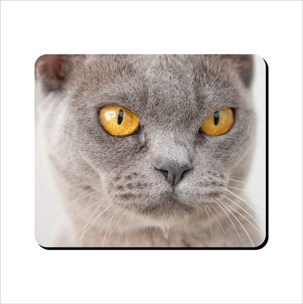 Mouse Pad - Yellow Eyed Cat Grey