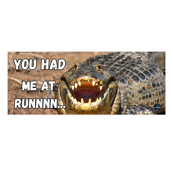 Reptile Cage Sign - "You Had Me At Runnnn...