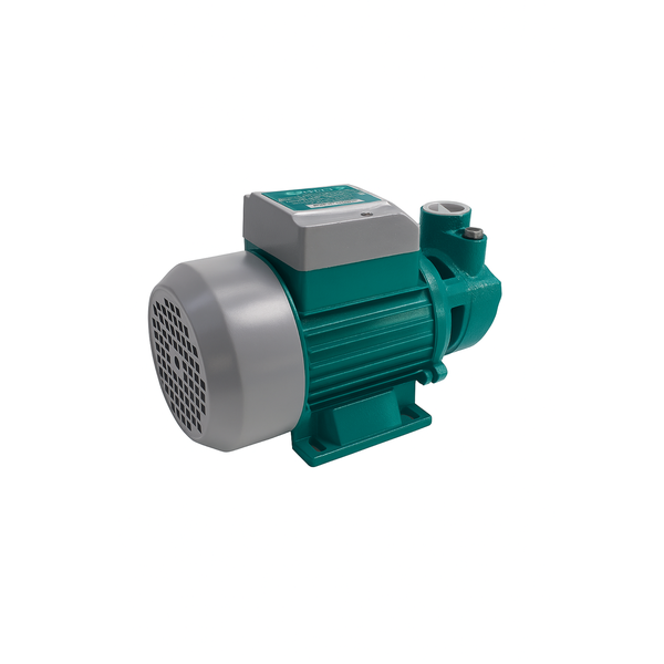 750W Centrifugal Pump - 1HP, CPM 158, Water Transfer